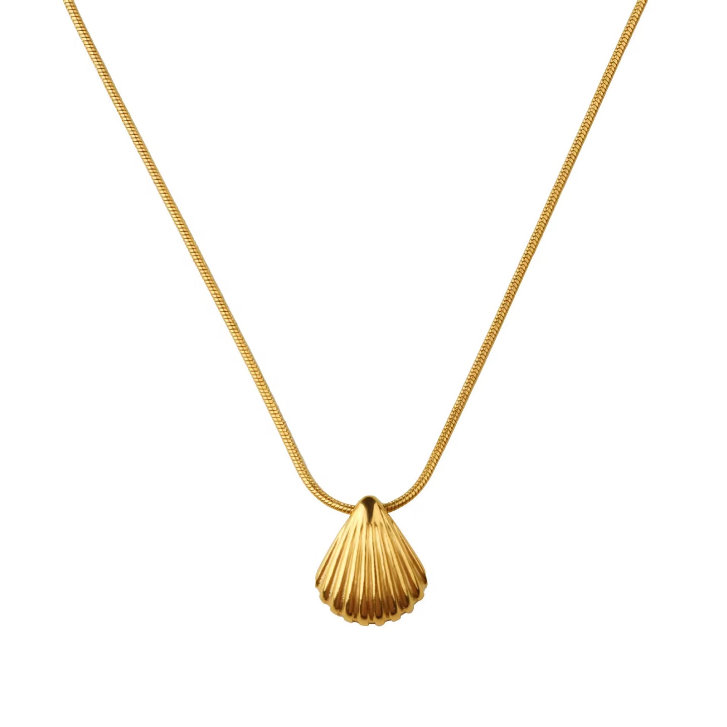 Seashell Necklace