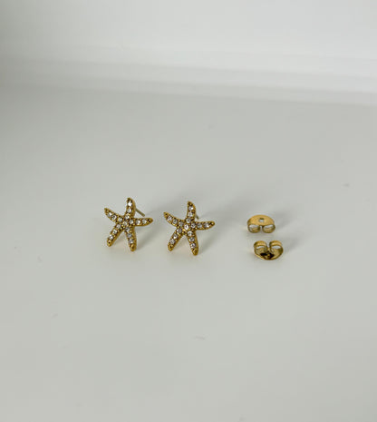 Starfish Earrings