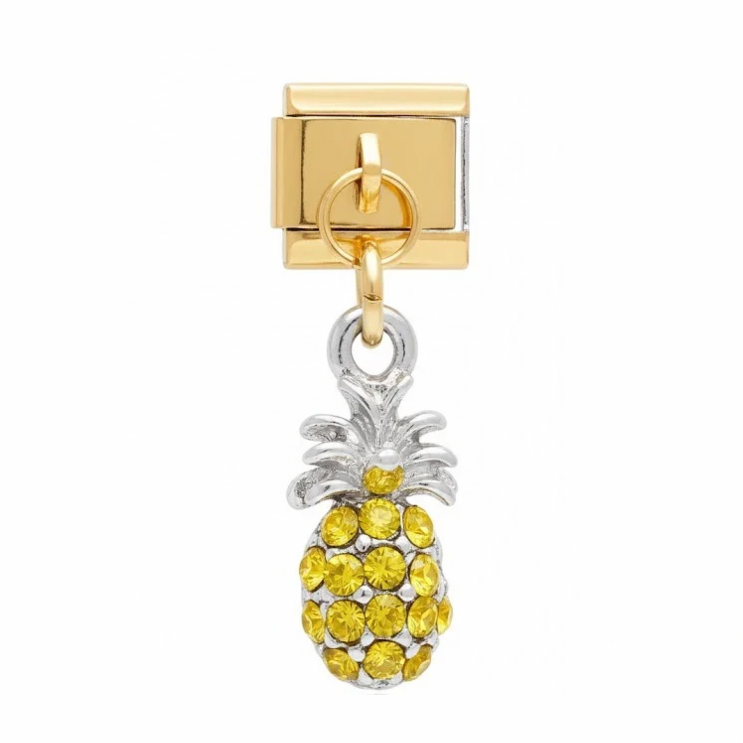 PINEAPPLE HANGING IC