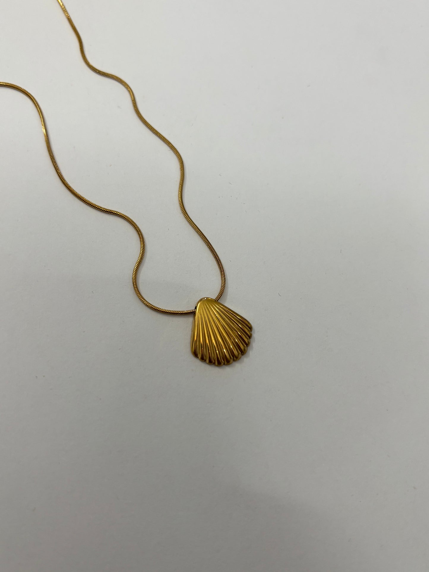 Seashell Necklace