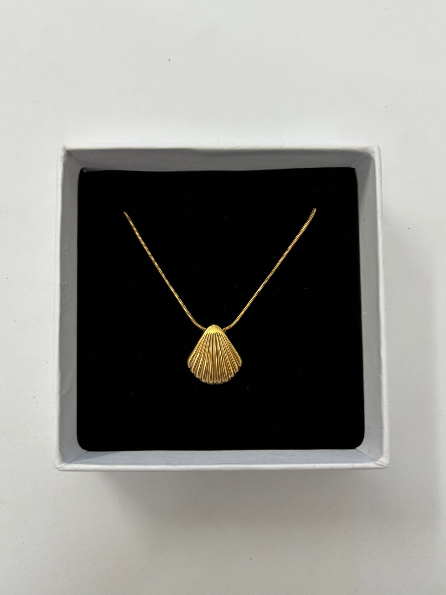 Seashell Necklace