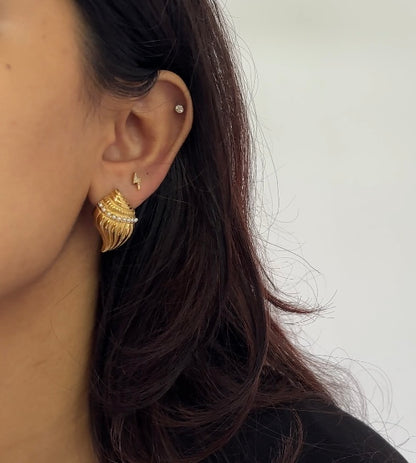 Conch Earrings